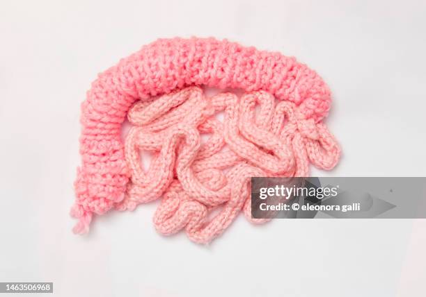 intestine - darm stockfoto's en -beelden