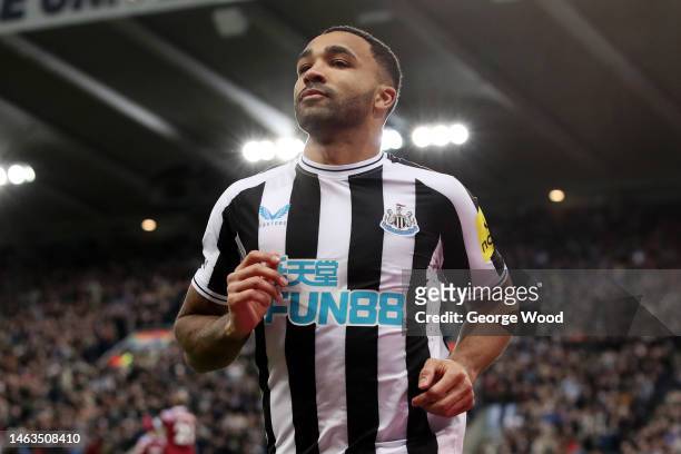 Callum Wilson of Newcastle United celebrates after scoring the team's first goal during the Premier League match between Newcastle United and West...