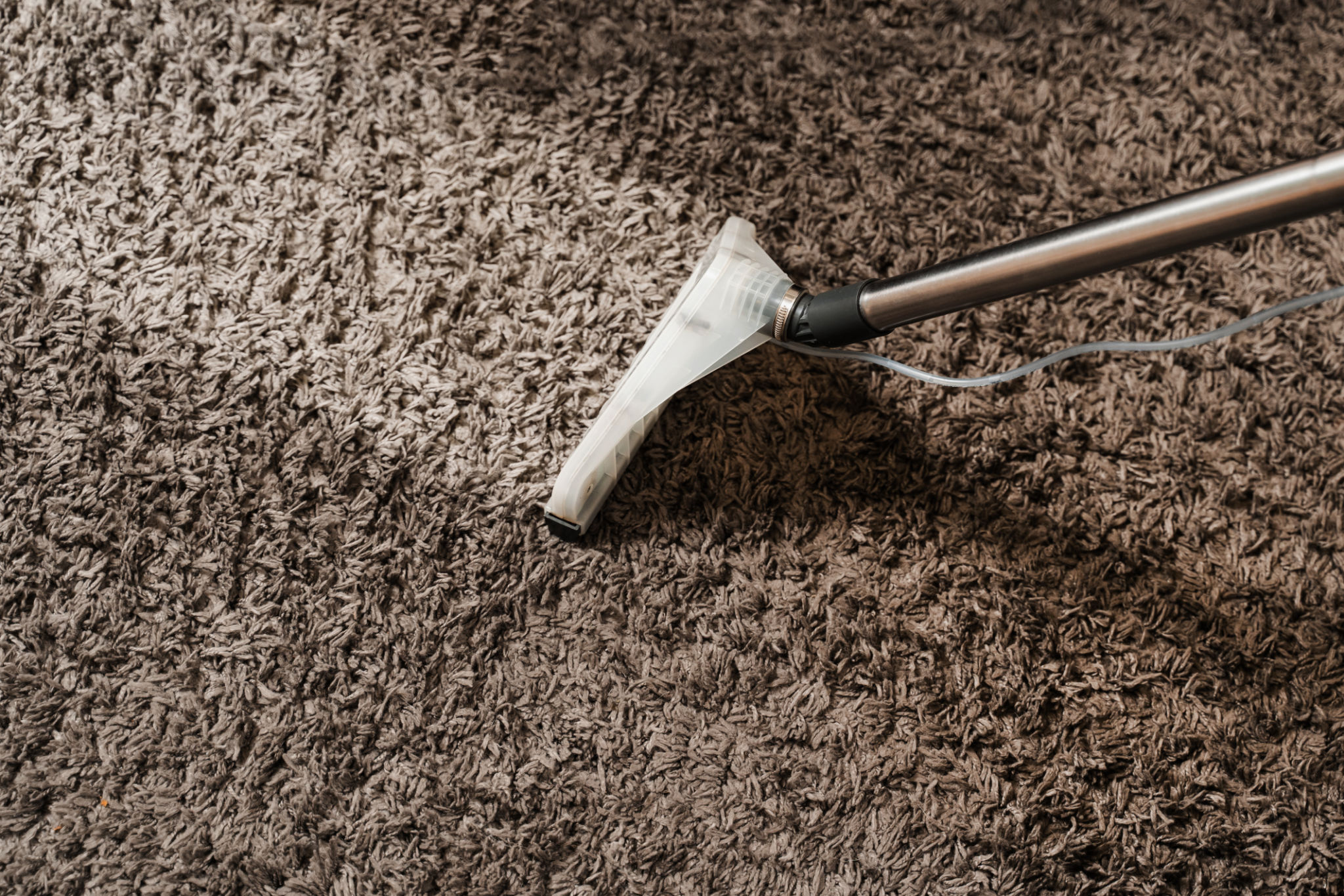 dry carpet cleaning
