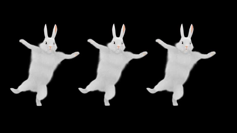 Swing Dancing Rabbits 동영상 (1463529780) - 게티이미지뱅크