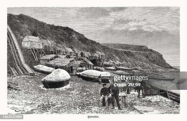 ilustrações de stock, clip art, desenhos animados e ícones de fishing station on labrador's coast, canada, wood engraving, published 1899 - península