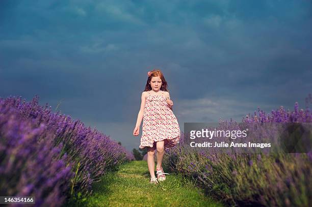 girl walking in lavender field - causal dress stock pictures, royalty-free photos & images