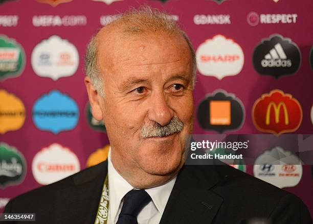 In this handout image provided by UEFA, Coach Vicente del Bosque of Spain talks to the media after the UEFA EURO 2012 Group C match between Spain and...