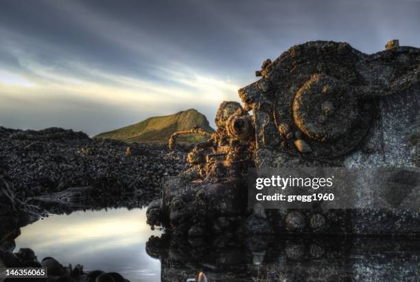 natures struggle - gower peninsula stock-fotos und bilder