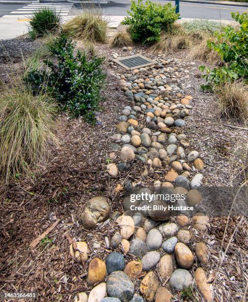 a bioswale in a public park constructed of dirt, tree bark, rocks and drought resistant plants. - bark mulch stock pictures, royalty-free photos & images