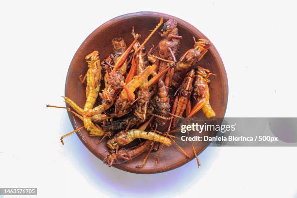 fried grasshopper or belalang goreng is traditional food from southeast asia,served with sambal,on,giurgiu,romania - saltamontes fotografías e imágenes de stock