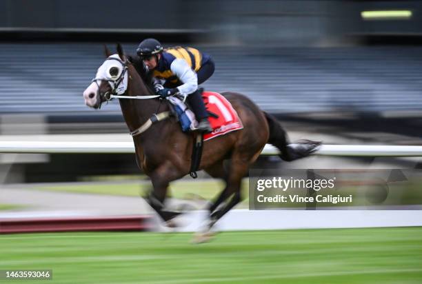 Jamie Kah riding I'm Thunderstruck during a trackwork session at Sandown Hillside on February 07, 2023 in Melbourne, Australia.