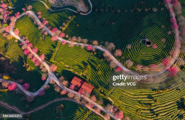 Longyan Cold Spring 7,631 Longyan Stock Photos, High-Res Pictures, and Images - Getty Images