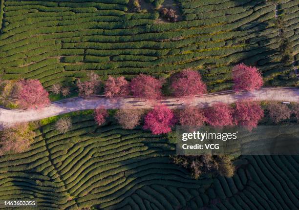 Longyan Cold Spring Longyan City Photos and Premium High Res Pictures - Getty Images