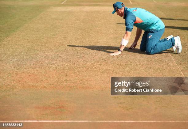 Steve Smith of Australia checks the pitch during a training session at Vidarbha Cricket Association Ground on February 07, 2023 in Nagpur, India.