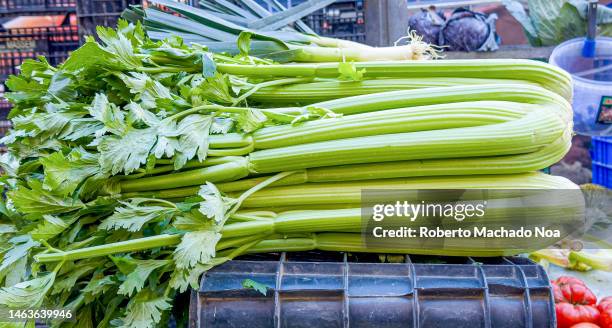 celery - apio fotografías e imágenes de stock