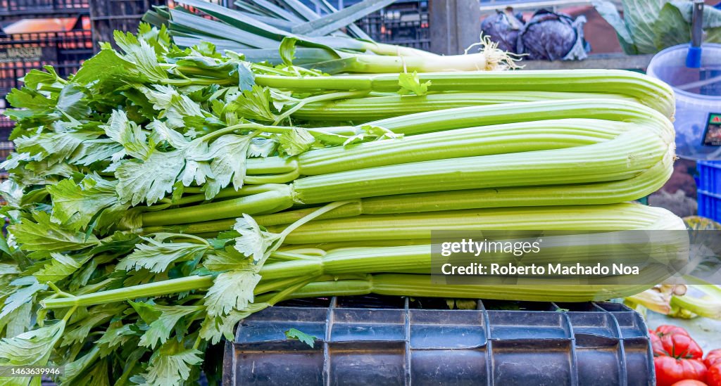 Celery
