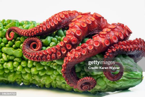 seafood and veggies - tentacle stock pictures, royalty-free photos & images