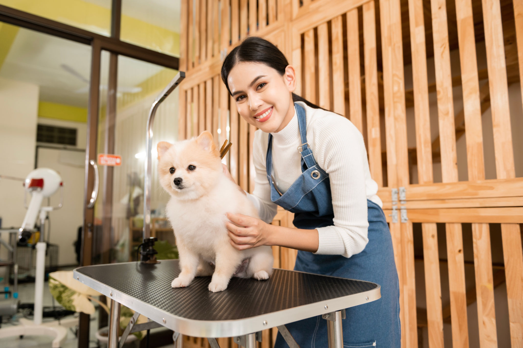 professional pet service