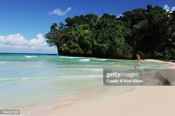 frenchman's cove, jamaica - port antonio jamaica stock pictures, royalty-free photos & images