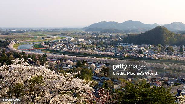 sakura lined riverbank of kakunodate - 桜並木 ストックフォトと画像