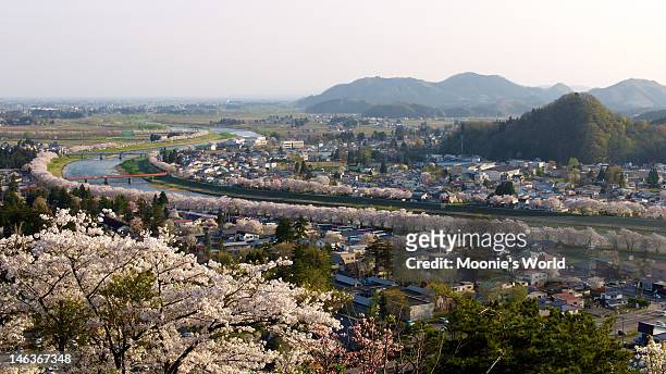 sakura lined riverbank of kakunodate - akita prefecture stock pictures, royalty-free photos & images