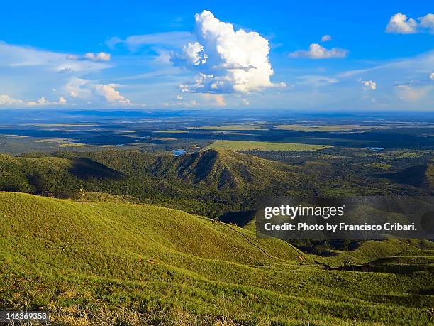 chapada dos guimaraes - chapada dos guimaraes fotografías e imágenes de stock