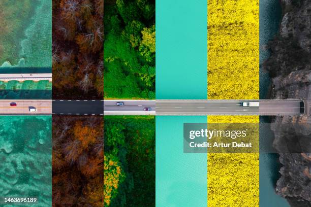 collage composition matching roads from directly above in different scenarios and seasons. - green road imagens e fotografias de stock