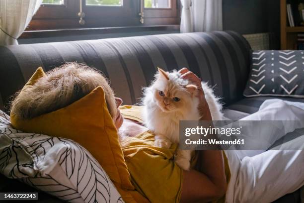 senior woman with cat cuddling on sofa at home - cat cuddling stock pictures, royalty-free photos & images