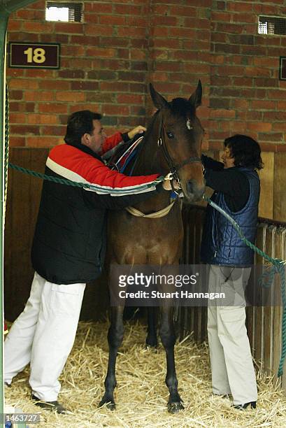 Sheila Laxon and Trainer John Symond settle Macedon Lady during morning trackwork at Caulfield during the Breakfast with the Stars held at the...