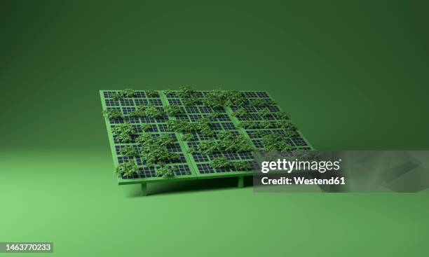 ilustrações de stock, clip art, desenhos animados e ícones de solar panels covered with plants over green background - painel solar