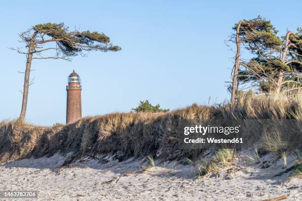 germany, mecklenburg-vorpommern, grassy beach on fischland-darss-zingst peninsula with darsser ort natureum lighthouse in background - mecklenburg vorpommern 個照片及圖片檔