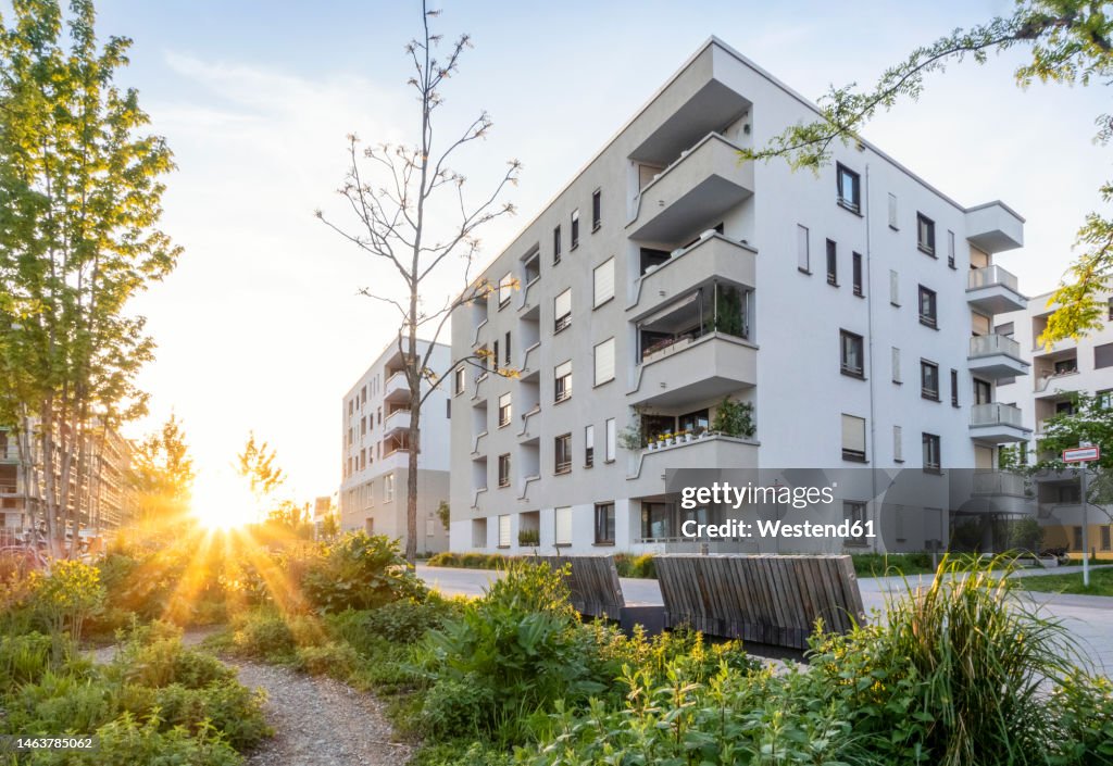 Germany, Bavaria, Munich, Residential garden in front of modern apartment building at sunset