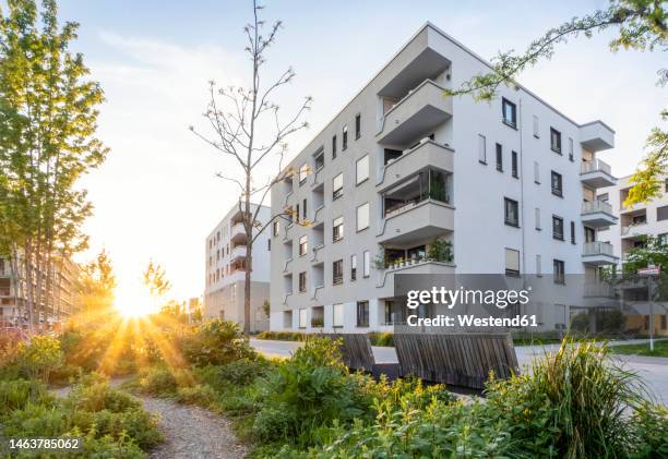 germany, bavaria, munich, residential garden in front of modern apartment building at sunset - wohnung stock-fotos und bilder
