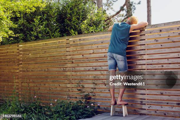 young man looking over wooden fence at back yard - fencing stock pictures, royalty-free photos & images