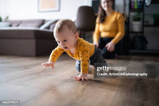 just learned to crawl. - baby crawling stock pictures, royalty-free photos & images