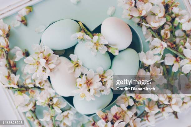 アーモンドの花の枝を持つハート型の箱にパステルブルーグリーンのイースターエッグの美しい平らな敷設 - ミントグリーン ストックフォトと画像