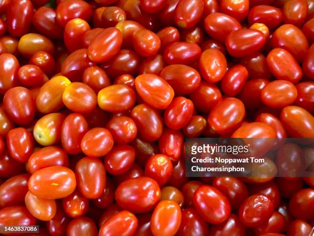 close up shot of small grape tomatoes, bangkok, thailand - cherry tomato stock pictures, royalty-free photos & images