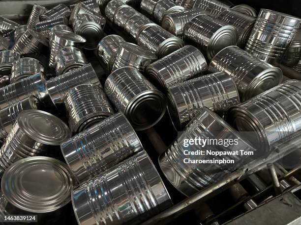 canned pineapple processing factory, prachuap khiri khan province, thailand, southeast asia. - modo de preparação de comida imagens e fotografias de stock