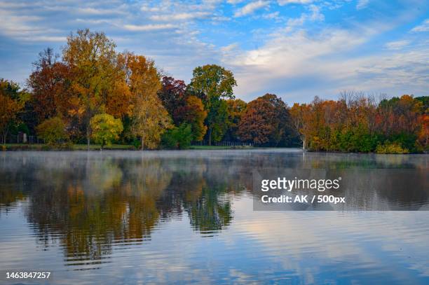 scenic view of lake by trees against sky during autumn,troy,michigan,united states,usa - michigan stock pictures, royalty-free photos & images