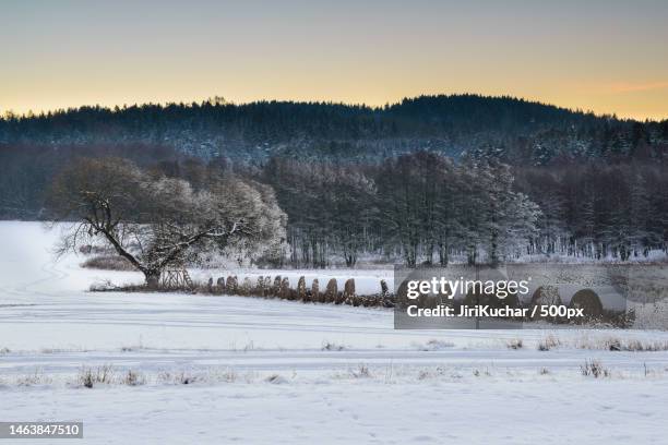 scenic view of snow covered field against sky during sunset,czech republic - kuchar stock pictures, royalty-free photos & images