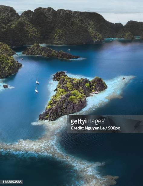 high angle view of sea shore,palawan,philippines - palawan philippines stock pictures, royalty-free photos & images