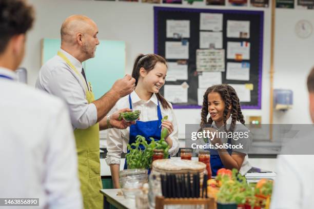 this isn't my favourite - home economics class stock pictures, royalty-free photos & images