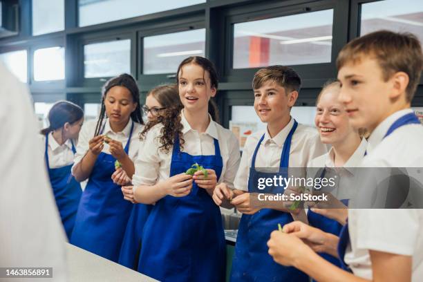 getting to grips with herbs - children cooking school stock pictures, royalty-free photos & images