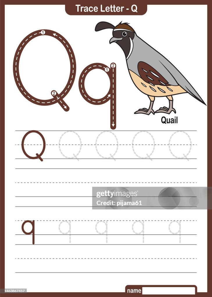 Alphabet Trace Letter A to Z preschool worksheet with the Letter Q Quail Pro Vector