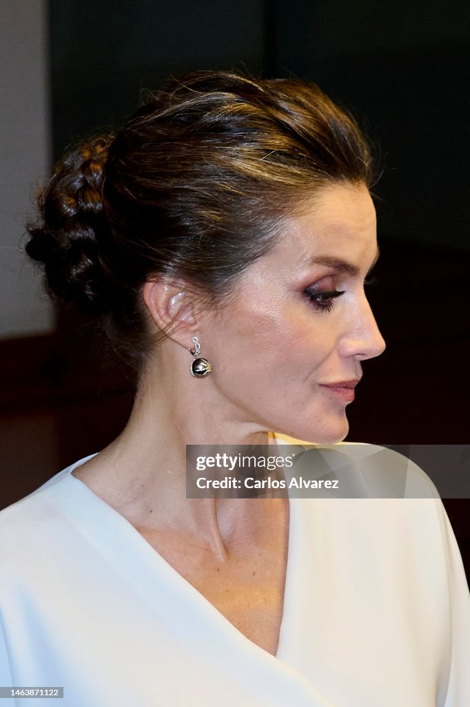 Inauguration of the Joan Miró Exhibition - Spanish Royals Visit Angola