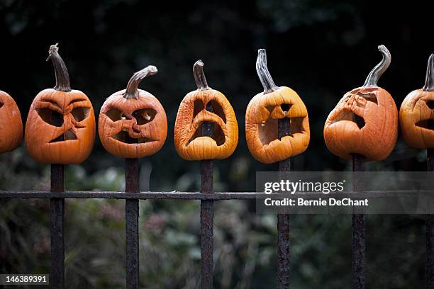 row of carved pumpkins impaled on fence - fries stockfoto's en -beelden