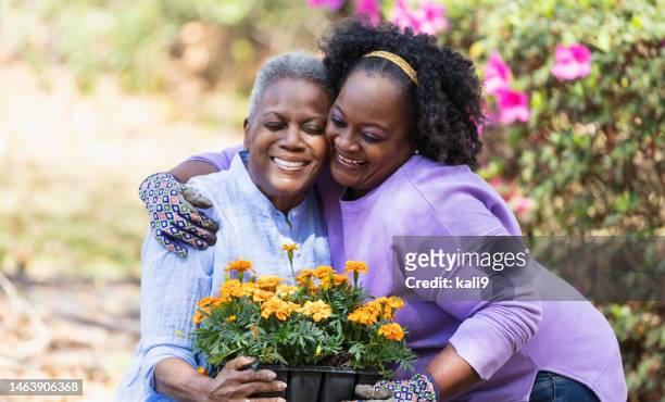 senior african-american woman, daughter gardening, hug - adult woman garden flower stock pictures, royalty-free photos & images