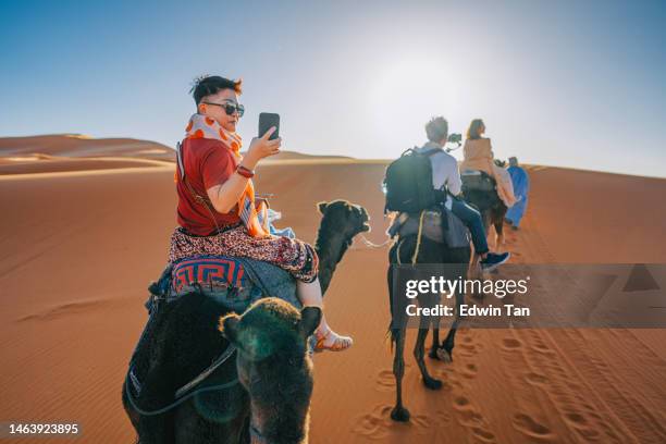 asian chinese tourist camel caravan going through the sahara desert in morocco at sunset - zagora stock pictures, royalty-free photos & images