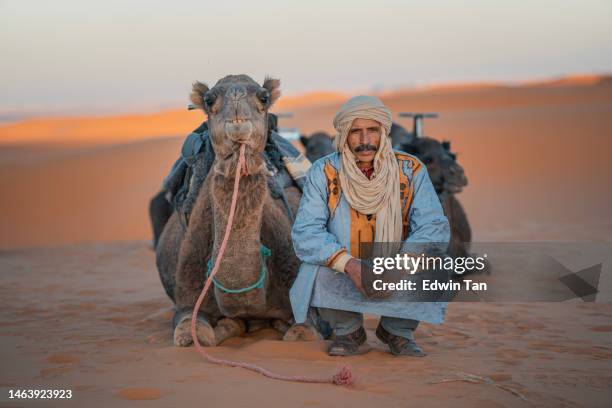 moroccan camel driver squatting in sahara desert with camel looking at camera - werkdier stockfoto's en -beelden