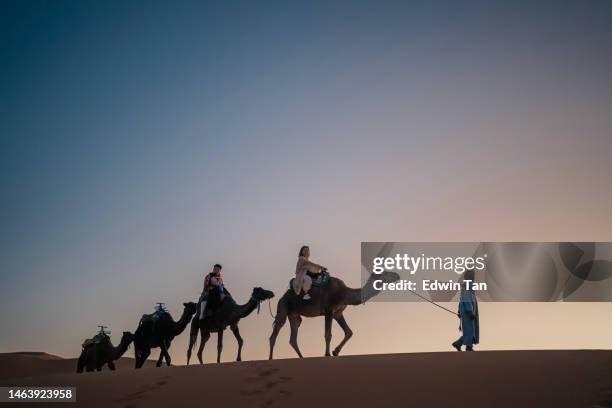 in silhouette tourists on train of camels in sahara desert led by guide herdsman in sunset - camel train stock pictures, royalty-free photos & images