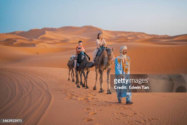 asian chinese female tourist camel caravan going through the sahara desert in morocco at sunset lead by camel driver - riding camel stock pictures, royalty-free photos & images