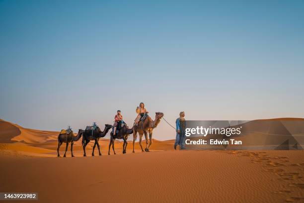 asian chinese female tourist camel caravan going through the sahara desert in morocco at sunset lead by camel driver - morocco tourist stock pictures, royalty-free photos & images