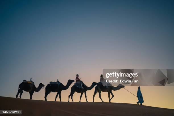 in silhouette tourists on train of camels in sahara desert led by guide herdsman in sunset - dromedary camel stock pictures, royalty-free photos & images