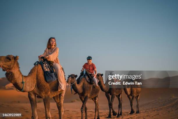 conductor de camello marroquí liderando a una turista asiática china que cruza el desierto del sahara por la noche - camello dromedario fotografías e imágenes de stock